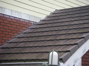 屋根、外壁全面塗装工事　施工前